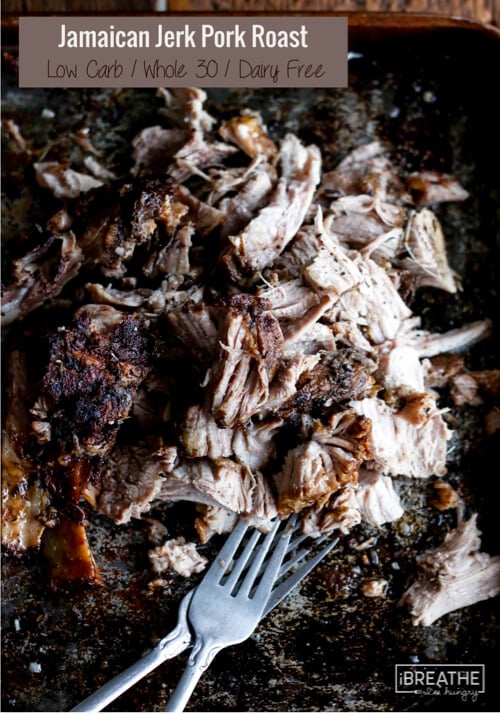 Keto Jerk Pork Roast shredded and shown on a baking sheet with two forks. 