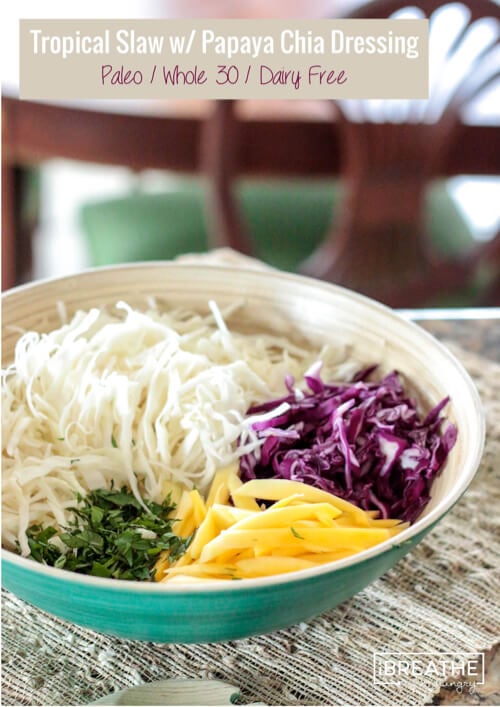 A delicious tropical slaw that is perfect for any summer party! Vegan, Paleo, Whole 30