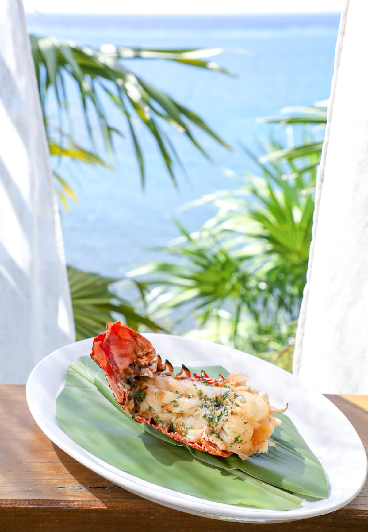 Keto Grilled Lobster Tails with Creole Butter with ocean in background