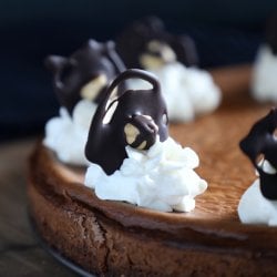 keto chocolate hazelnut cheesecake from side with whipped cream and chocolate garnish