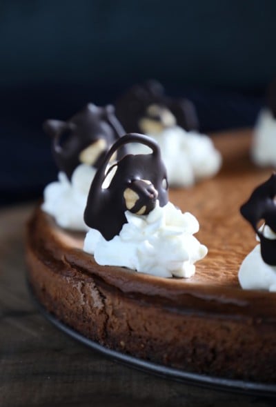 keto chocolate hazelnut cheesecake from side with whipped cream and chocolate garnish
