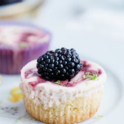 Closeup of a single blackberry lime cheesecake with a blackberry on top