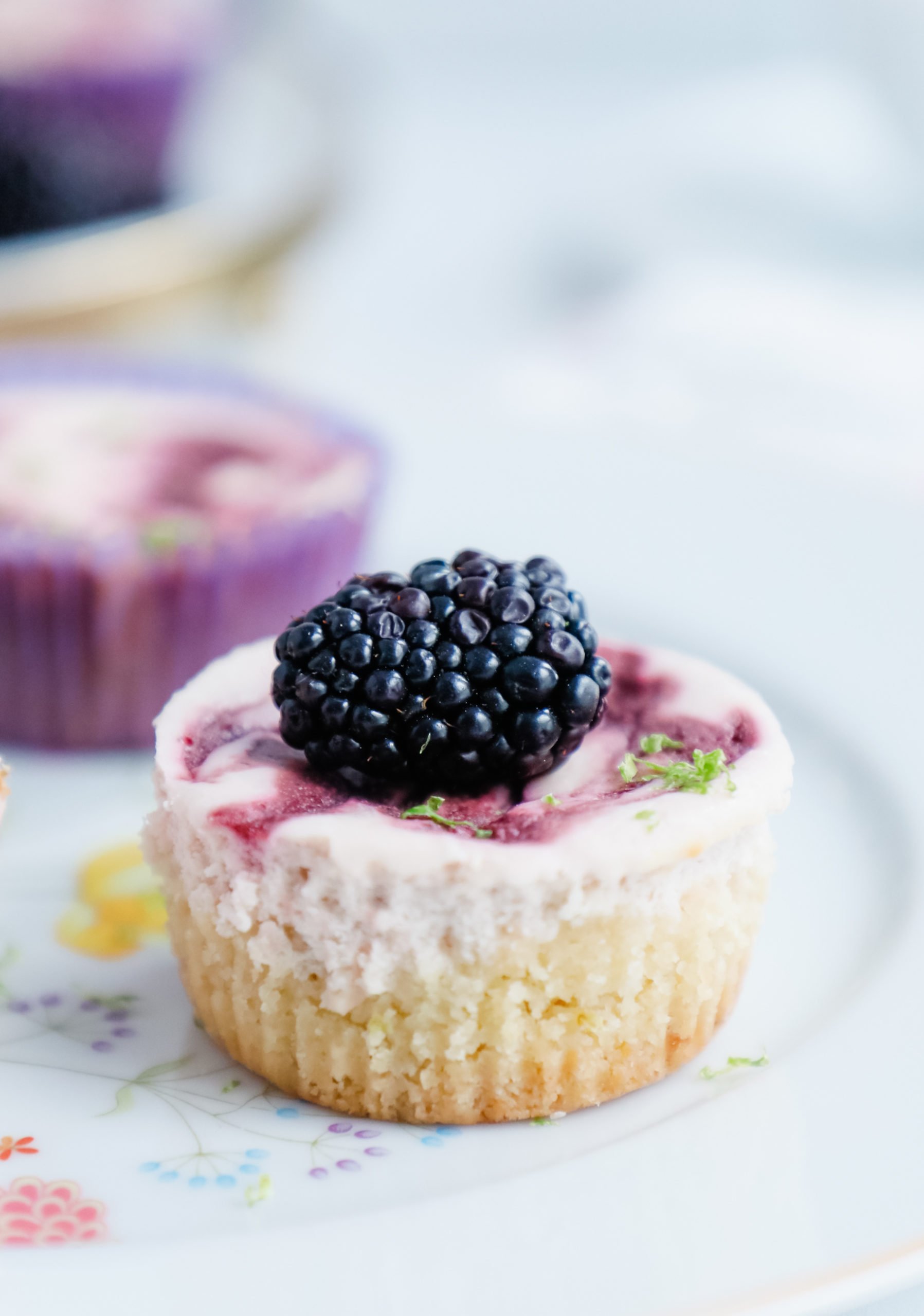 Closeup of a single blackberry lime cheesecake with a blackberry on top