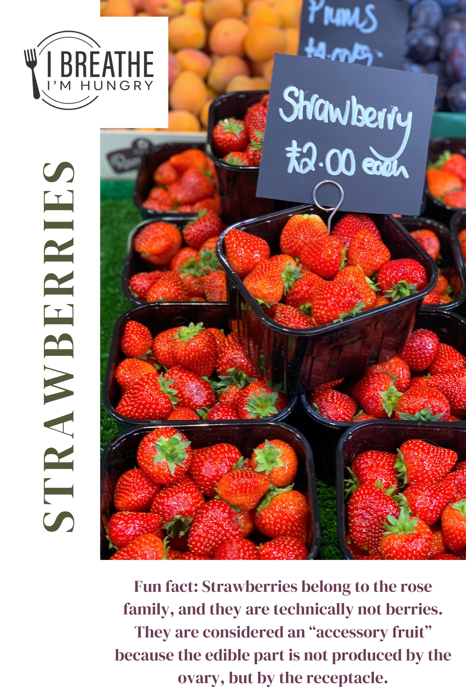 strawberries fun fact infographic