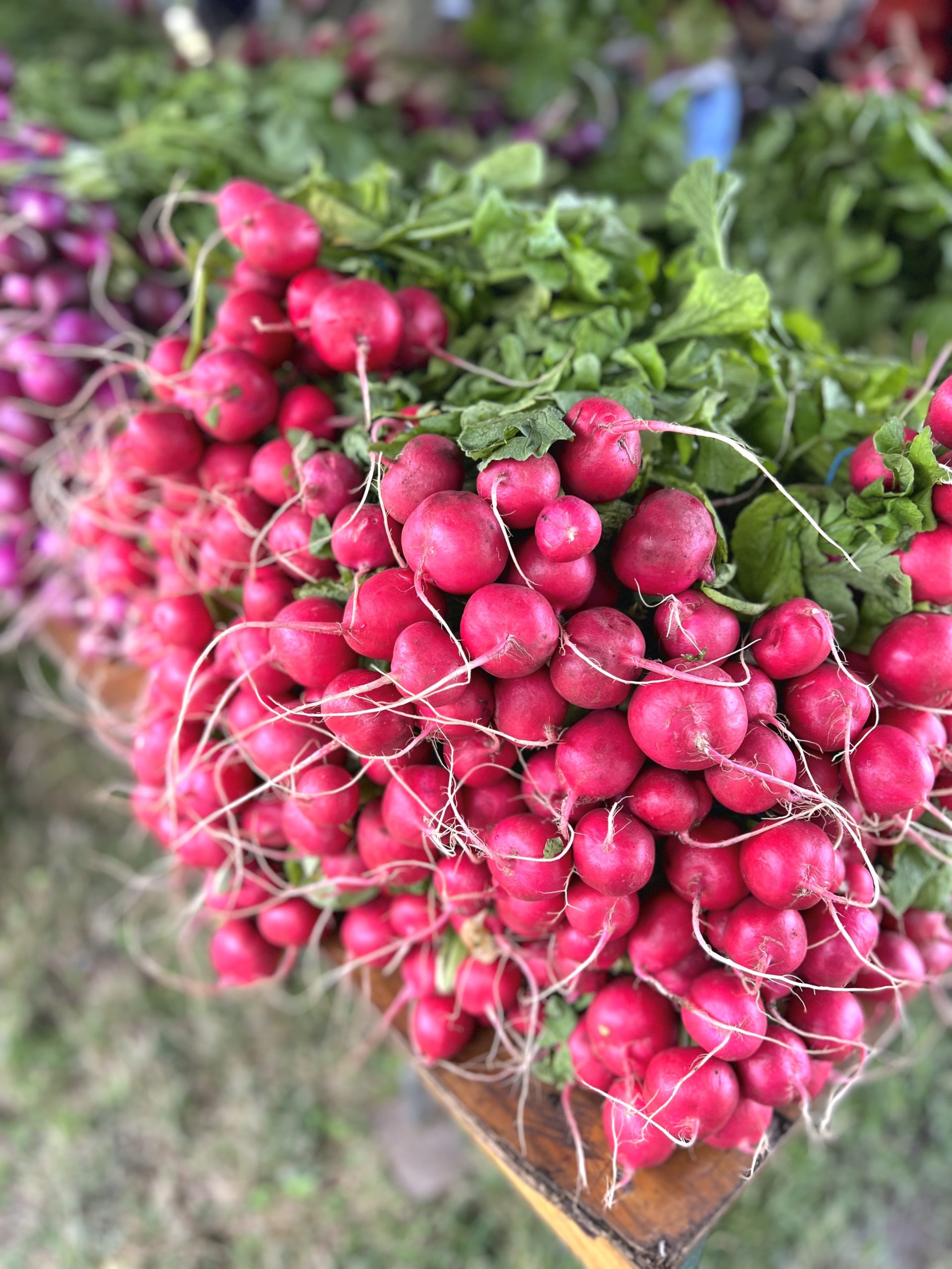 Pink radishes bunched up on a farmer's market table