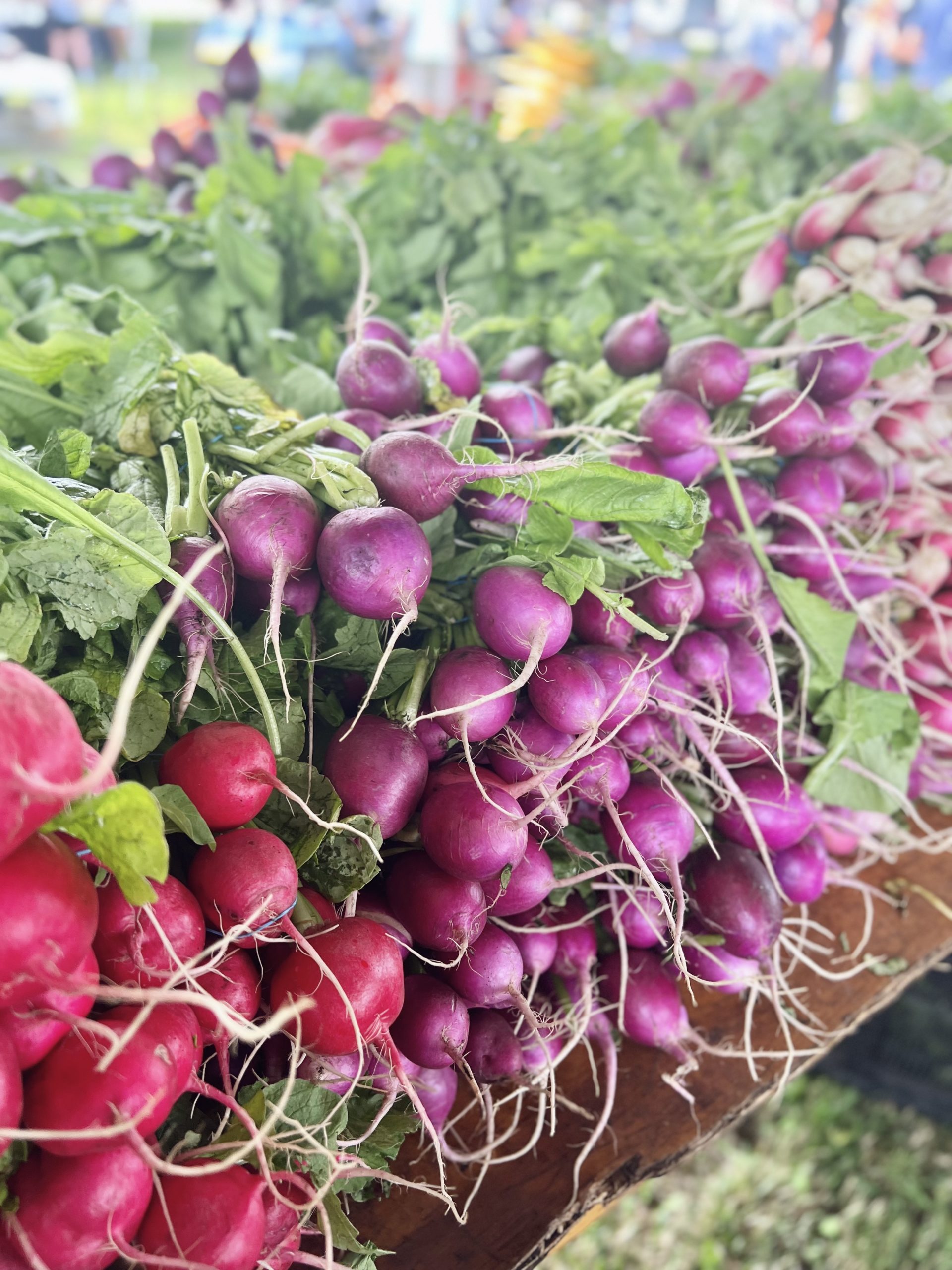 purple radishes at the farmer's market
